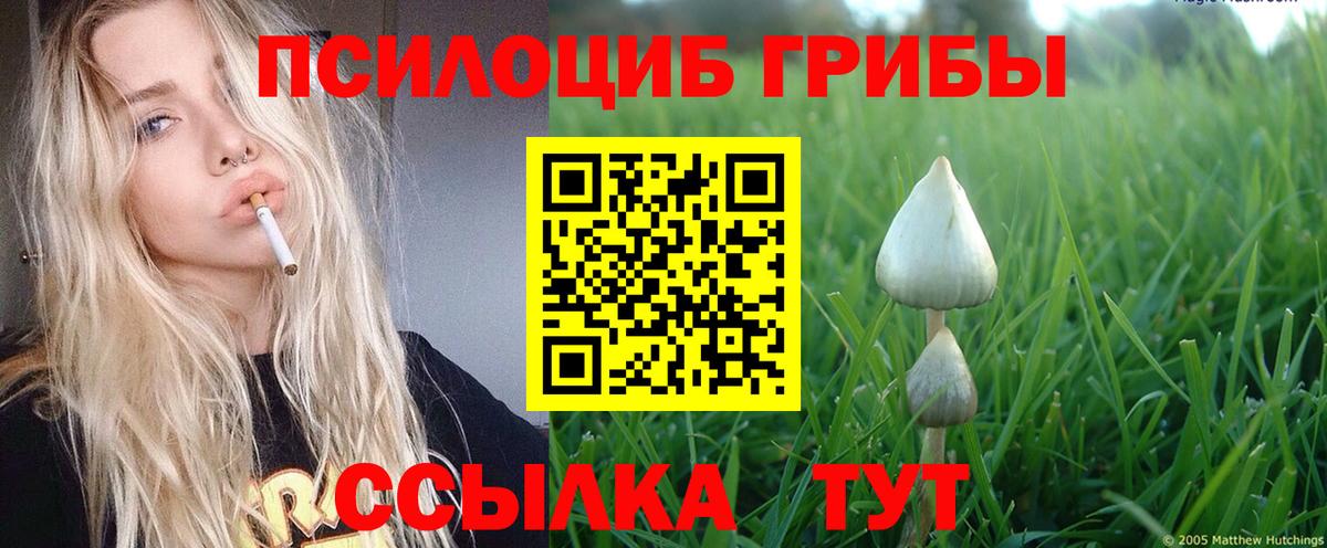 Псилоцибиновые грибы Magic Shrooms Старая Купавна