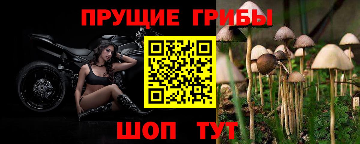 Старая Купавна  Псилоцибиновые грибы MAGIC MUSHROOMS  Галлюциногенные грибы MAGIC MUSHROOMS  Вход с VPN 