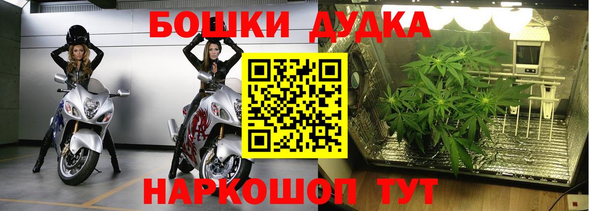 Бошки марихуана SATIVA & INDICA  Вход с VPN  Конопля MAZAR  Старая Купавна  Каннабис White Widow 
